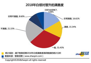 199it 互聯網數據資訊中心的專業數據服務