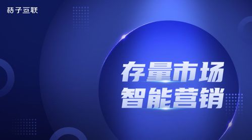 桔子互聯(lián) 以嵌入式產(chǎn)品服務(wù)與智能技術(shù)賦能金融決策新紀(jì)元